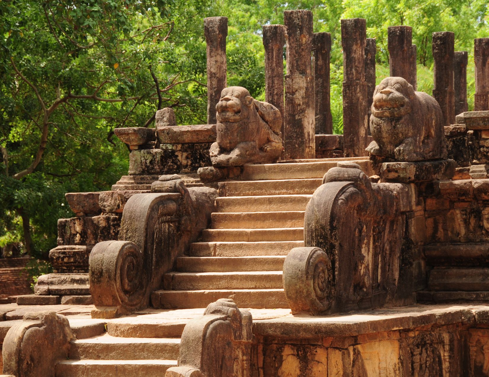 Sri Lanka & Maldive: Tour & Mare da Sogno 8