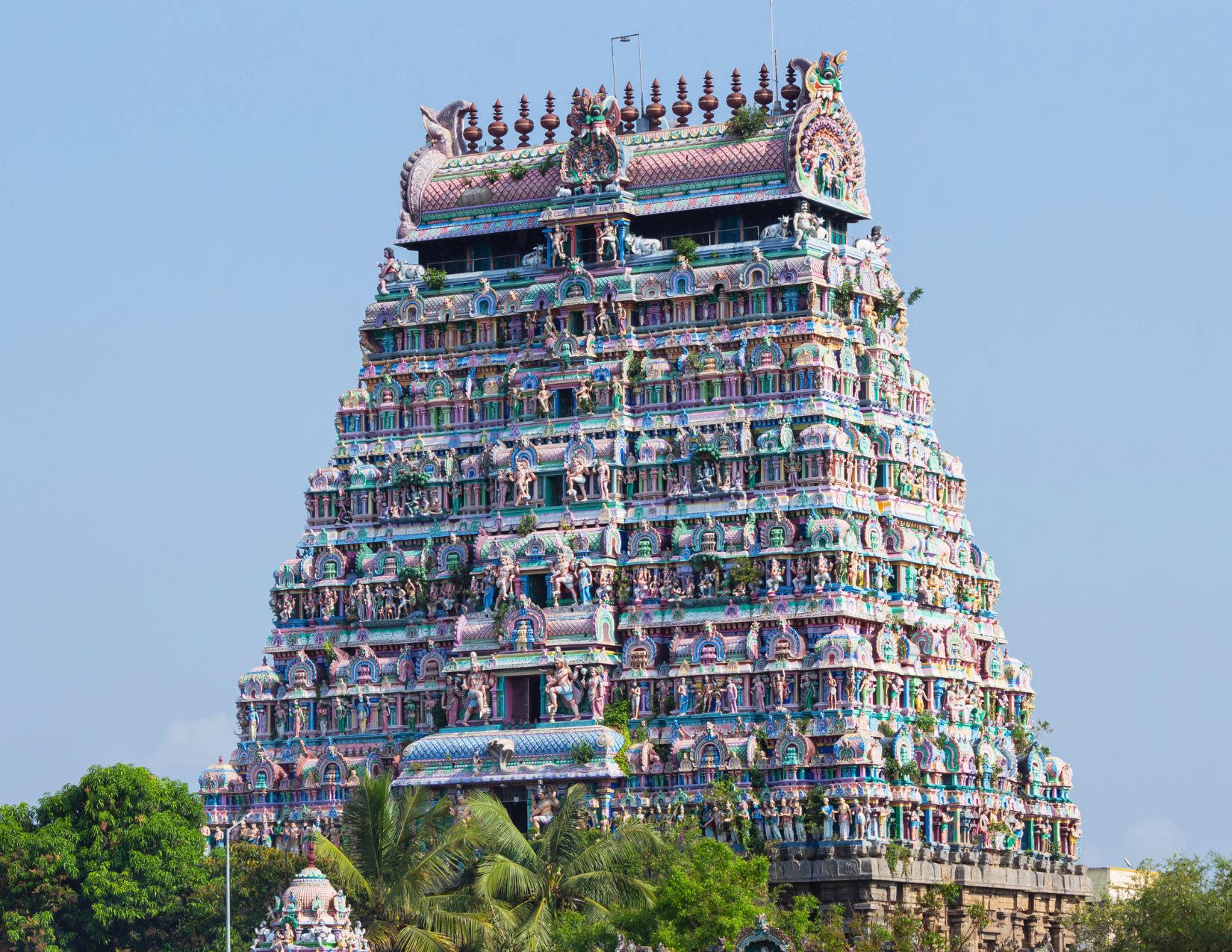 India del Sud e Kerala: tra Templi e Tradizioni 11