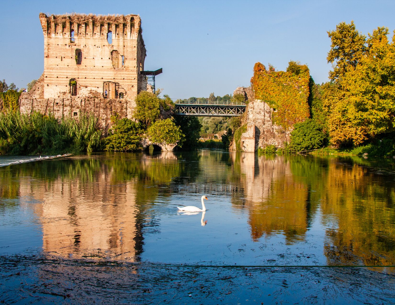 Luglio sorprendente: la fioritura del loto sul Mincio 10