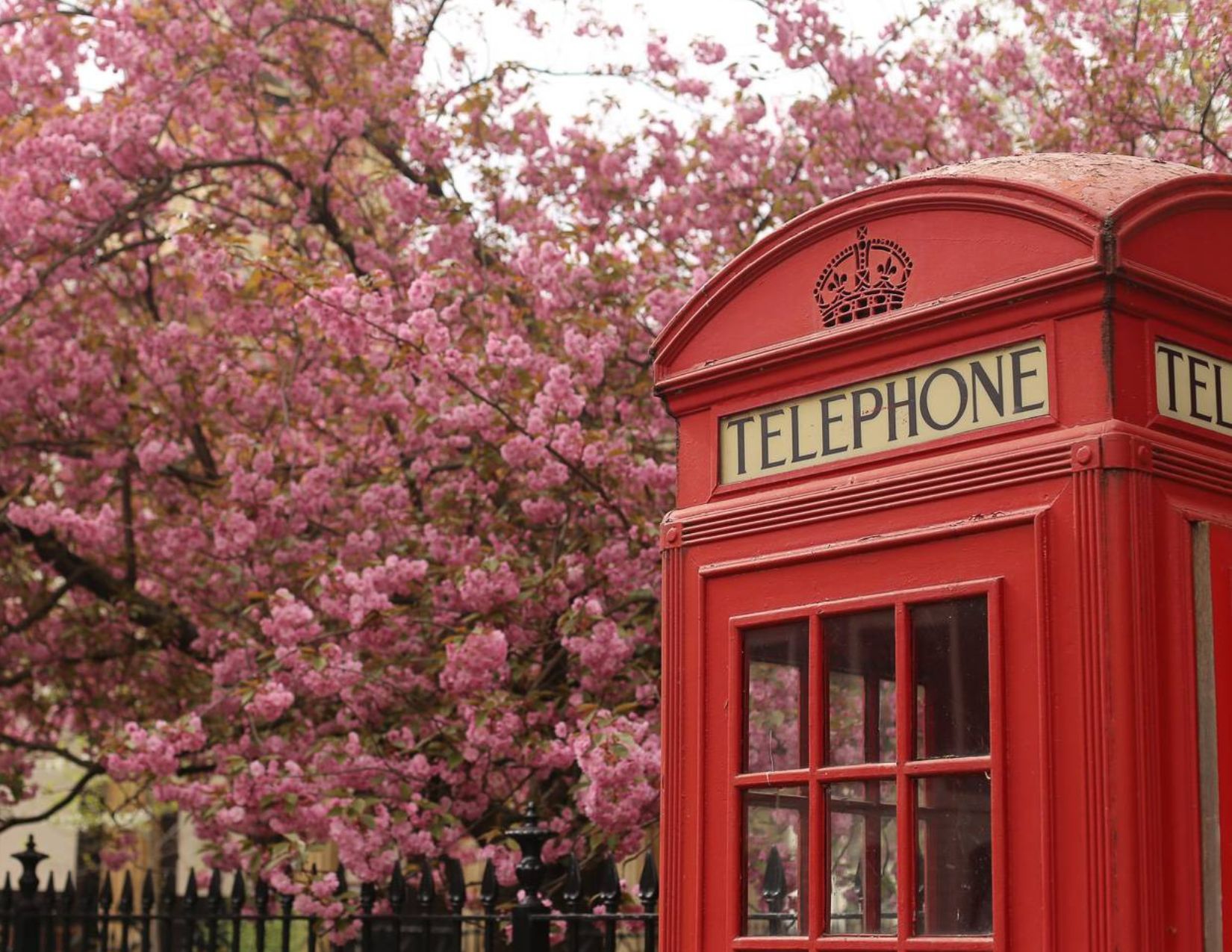 Londra in Fiore: City Break di Primavera nella Città Reale 6