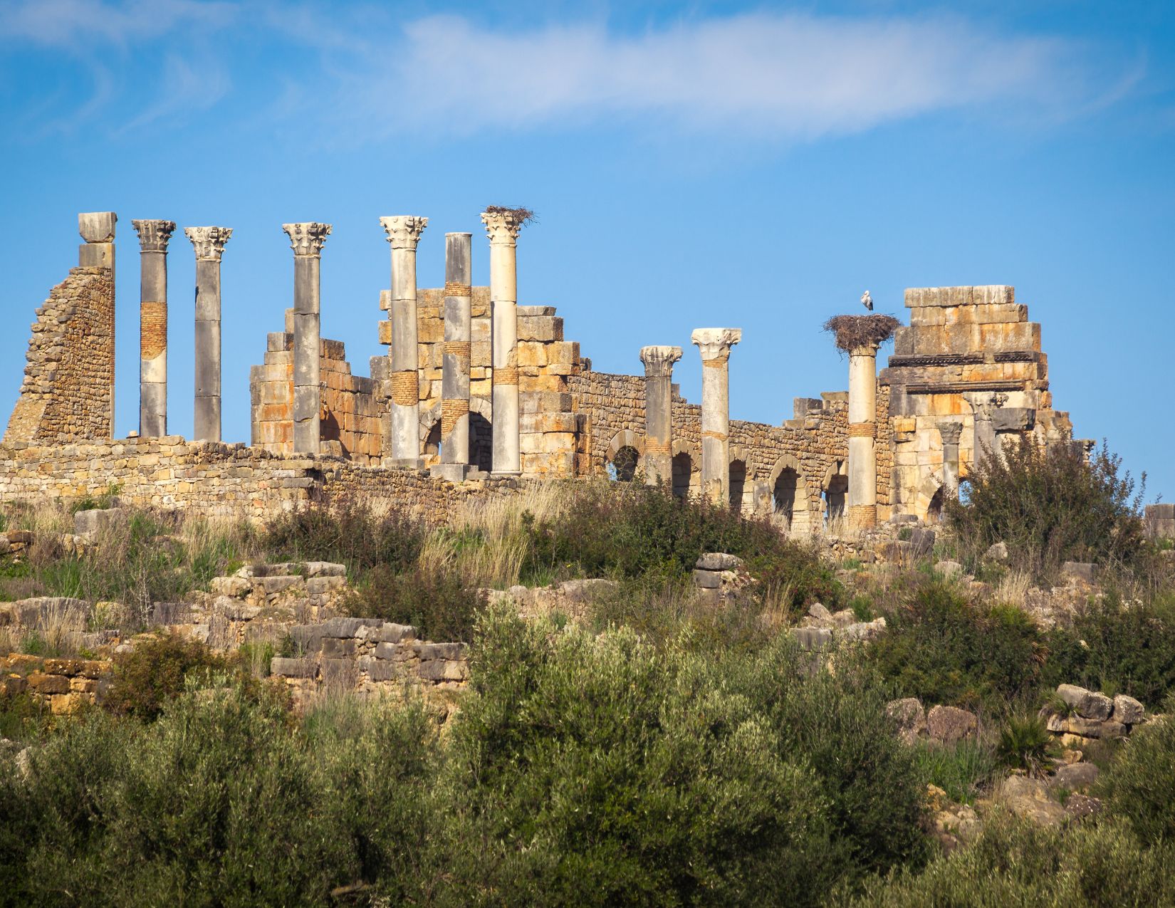 Gran Tour del Marocco: Tra Deserti Dorati e Antiche Tradizioni 10