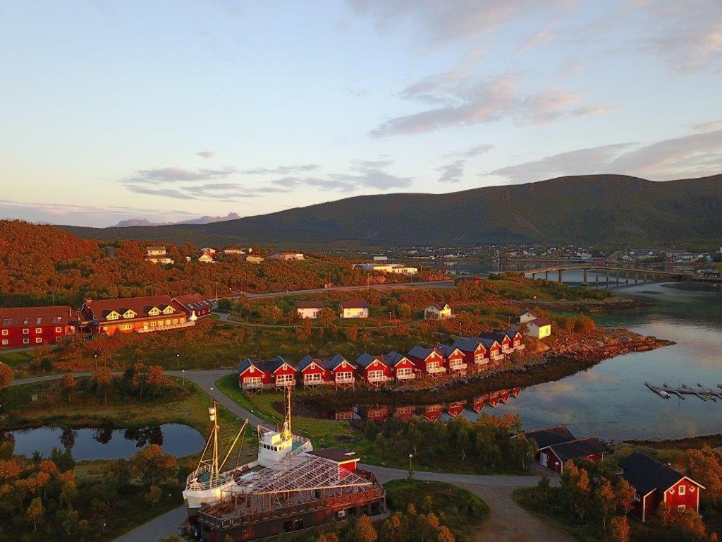 Gran Tour delle Lofoten : viaggio tra paesaggi da sogno e tradizioni norvegesi 15