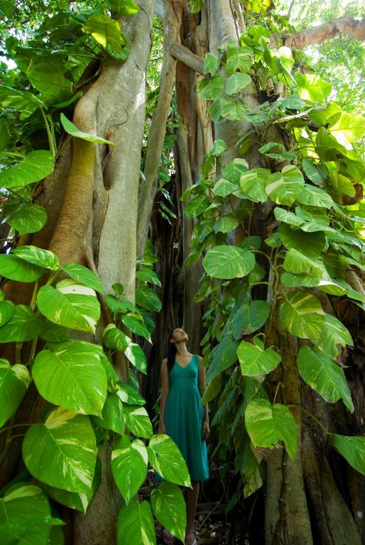 Sri Lanka & Maldive: Tour & Mare da Sogno 23