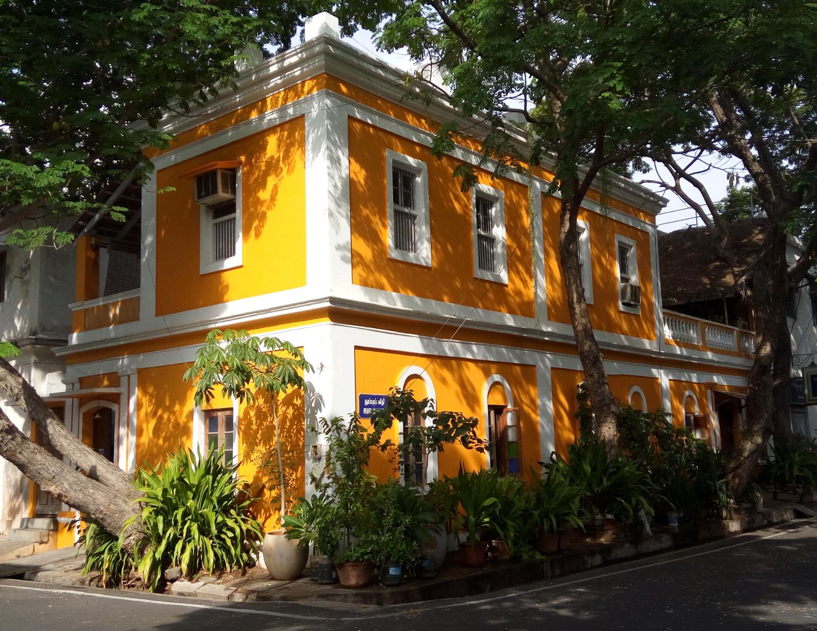 India del Sud e Kerala: tra Templi e Tradizioni 8