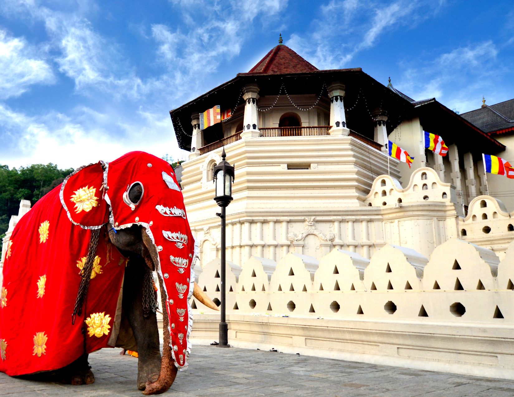 Sri Lanka & Maldive: Tour & Mare da Sogno 14