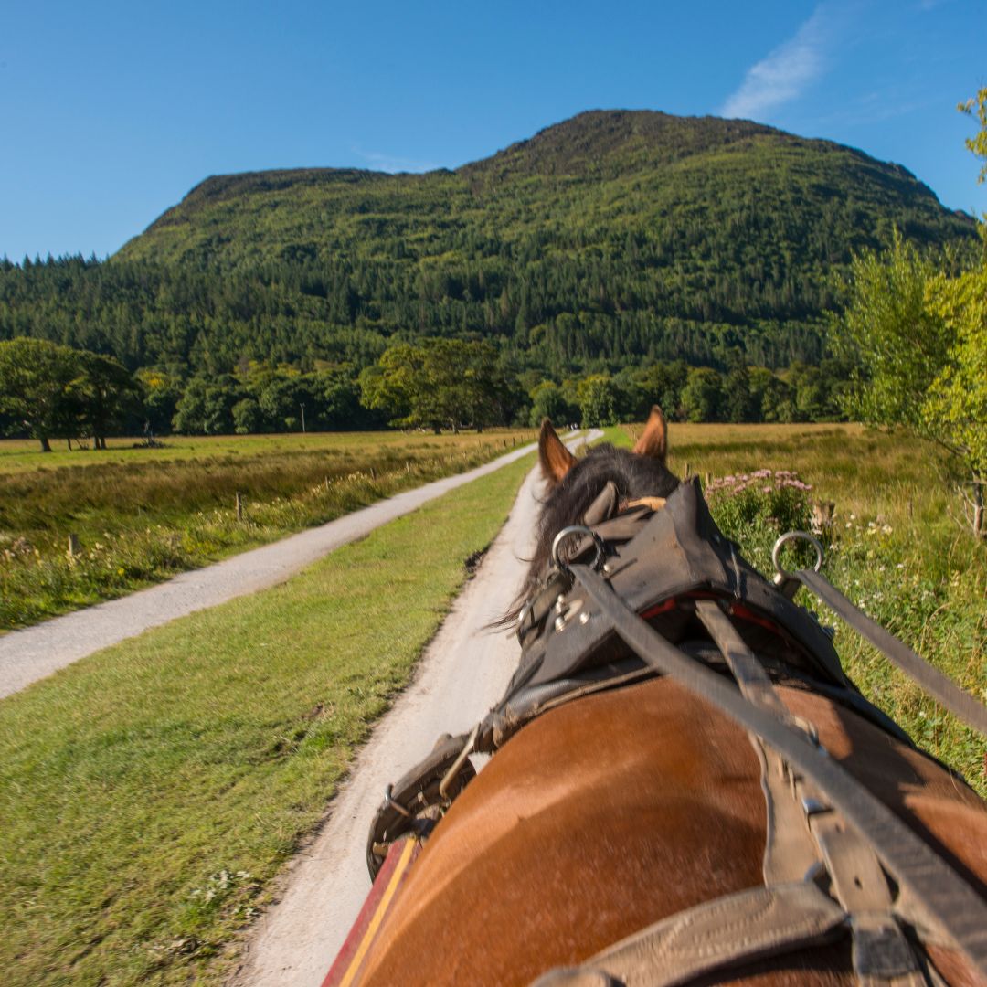 Tour dell'Irlanda: Leggende e paesaggi da Dublino al Connemara 30