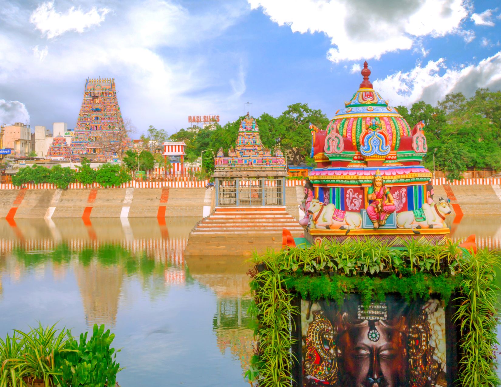 India del Sud e Kerala: tra Templi e Tradizioni 5