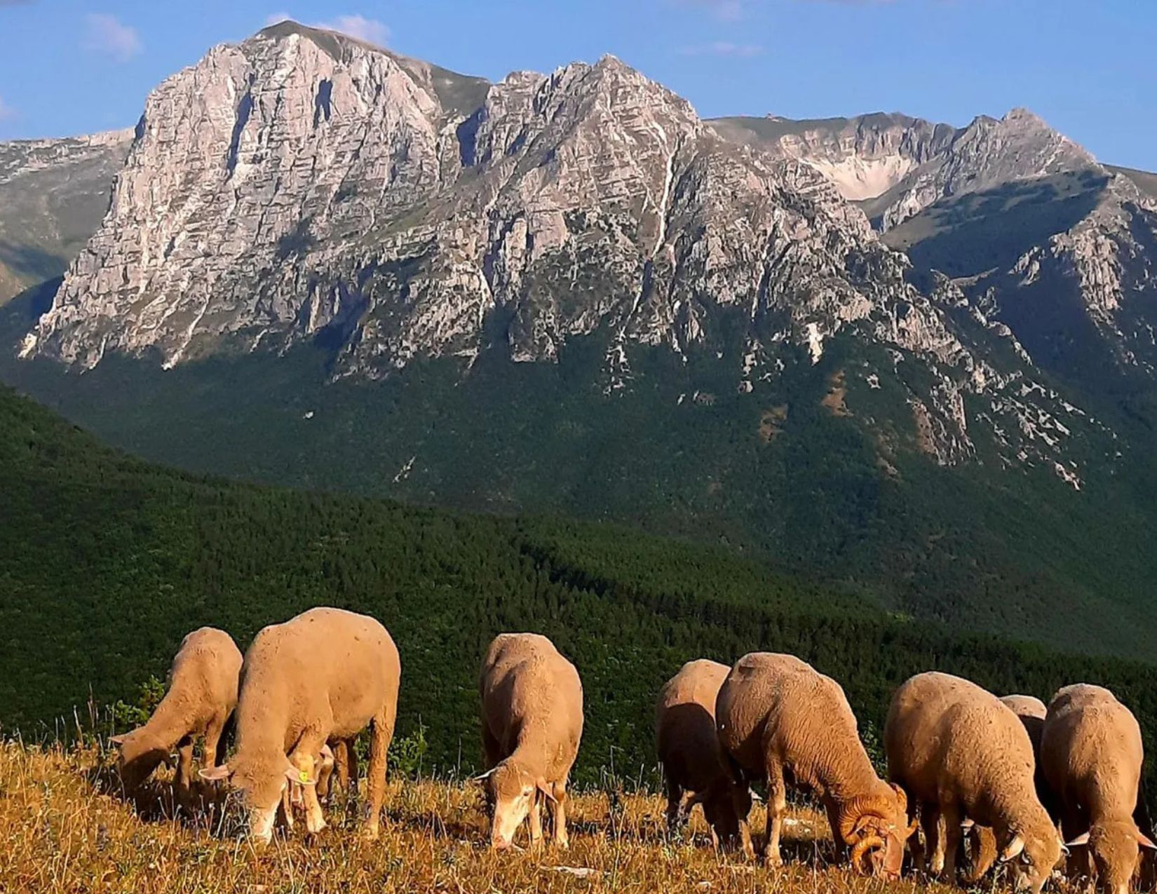 Weekend Verde sui Monti Sibillini: Esperienze autentiche, Tradizioni e la Fioritura di Castelluccio 10