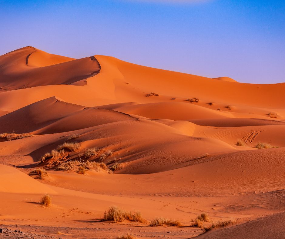 Gran Tour del Marocco: Tra Deserti Dorati e Antiche Tradizioni 17