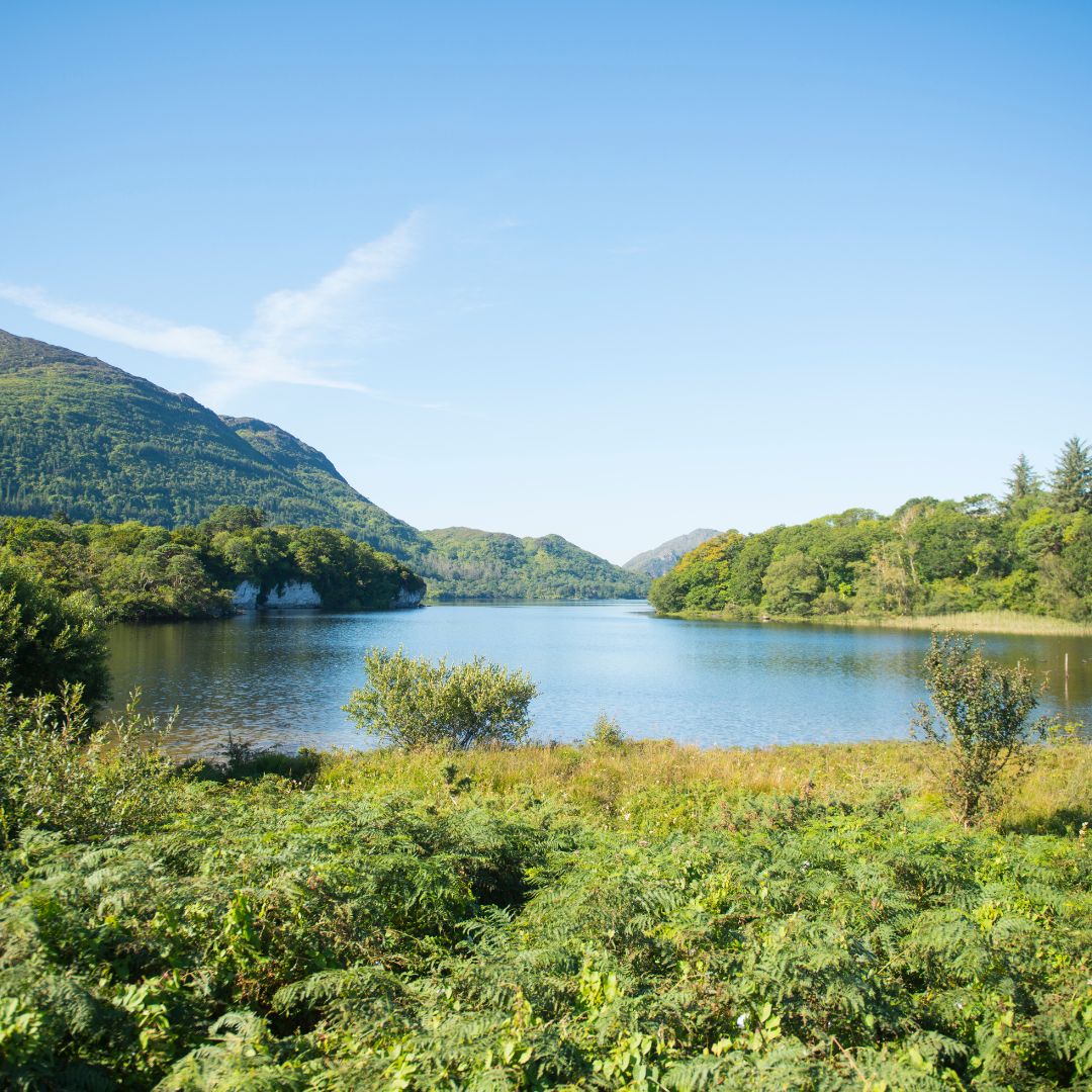 Tour dell'Irlanda: Leggende e paesaggi da Dublino al Connemara 28