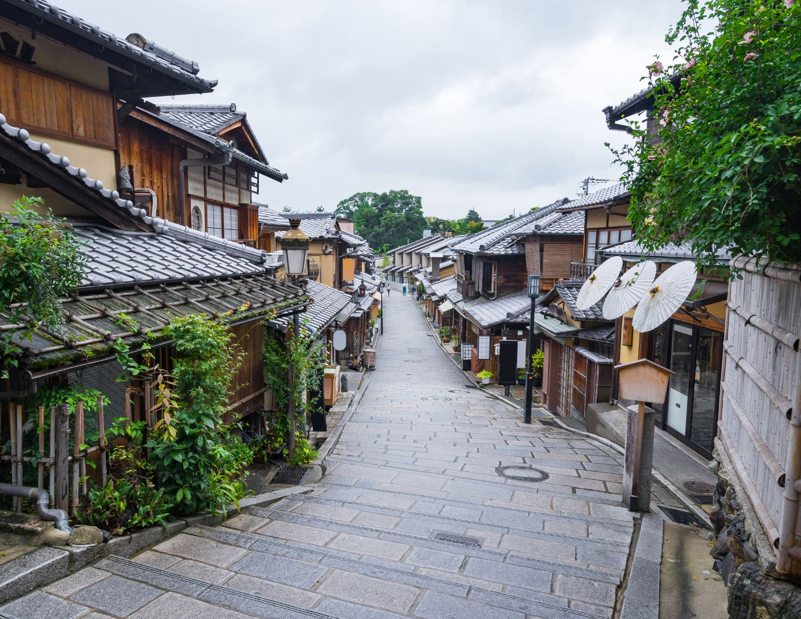 Tour Giappone Rosso Autunno: Esperienze autentiche tra templi, città e il Festival delle Lanterne 19