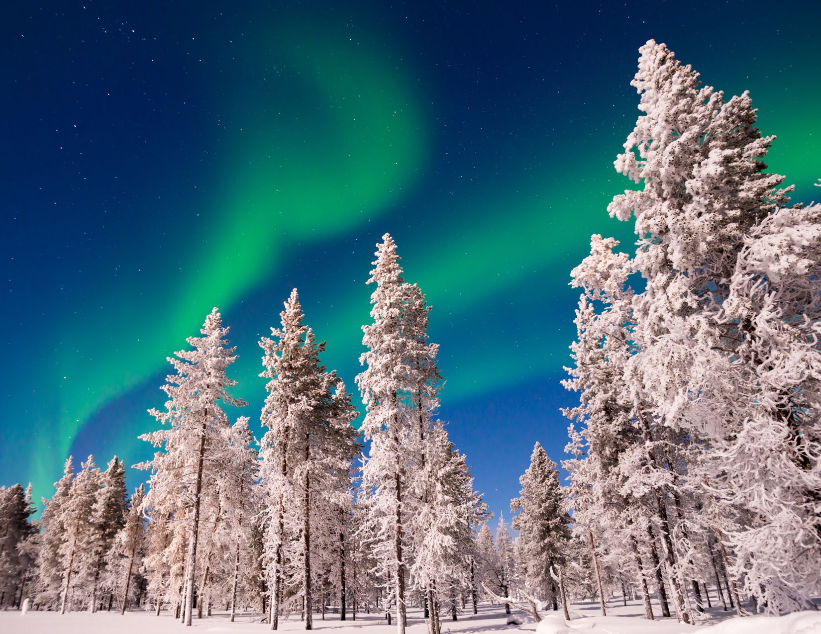 Saariselkä e il Cuore della Lapponia: Avventura oltre il Circolo Polare 8