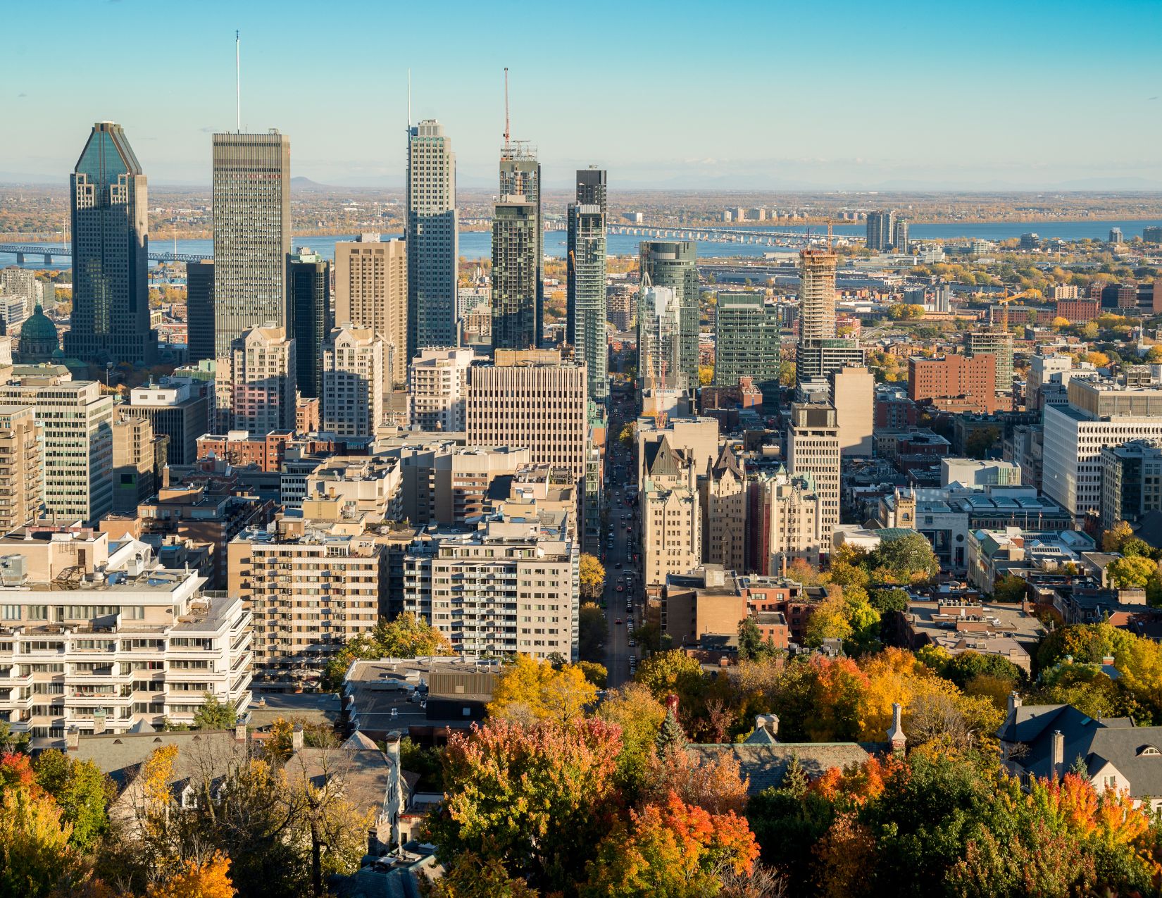 Canada tra Metropoli e Natura: l’Anima Selvaggia del Québec 3