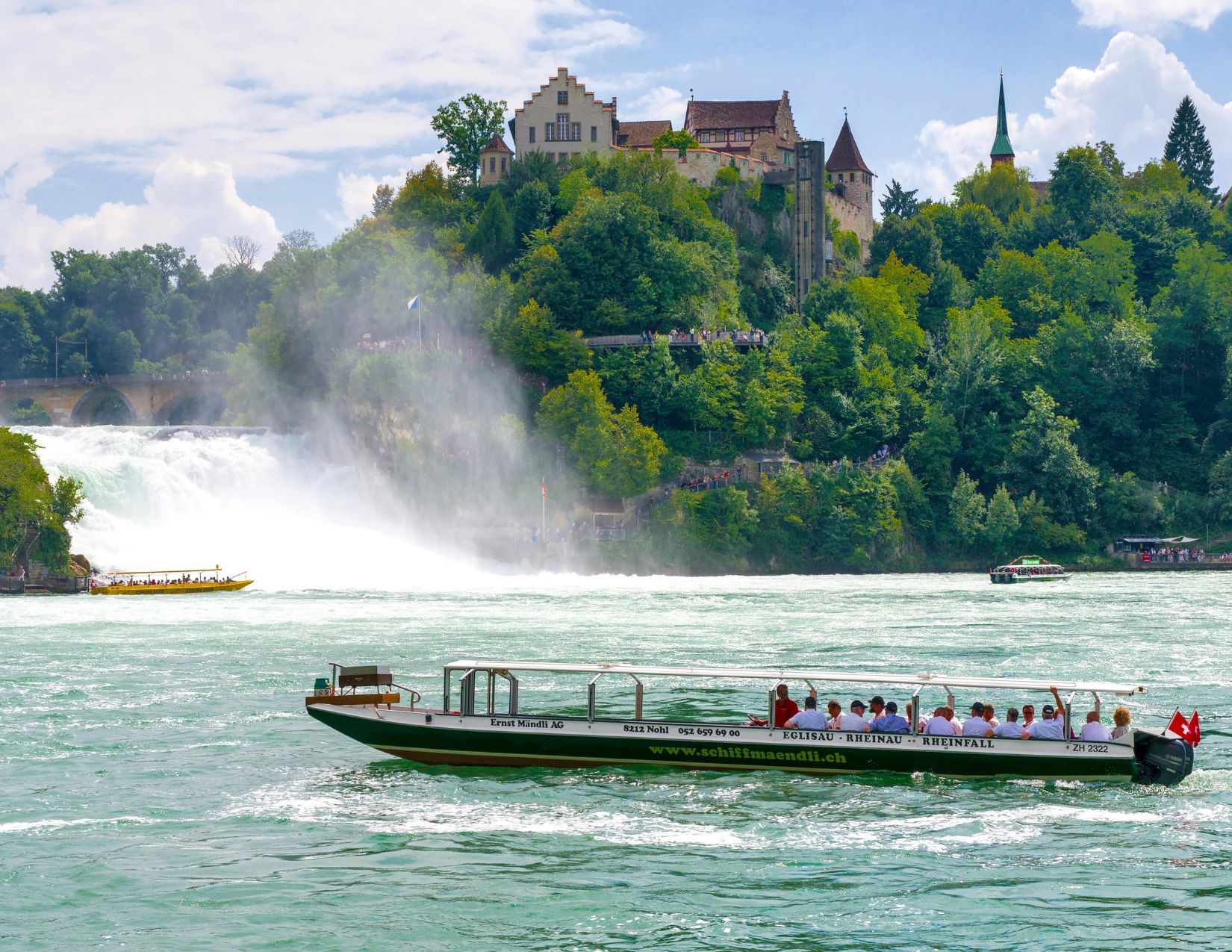 Gran Tour della Foresta Nera: Meraviglie dall'Alsazia alla Svizzera 15