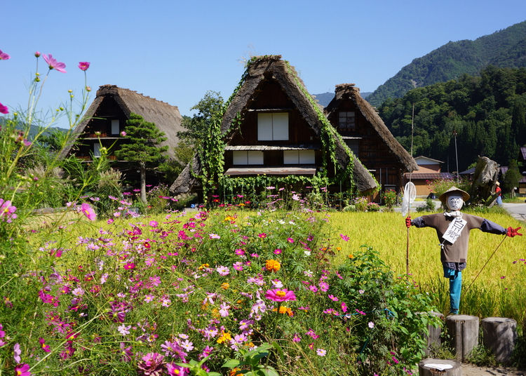 Tour Giappone Rosso Autunno: Esperienze autentiche tra templi, città e il Festival delle Lanterne 7