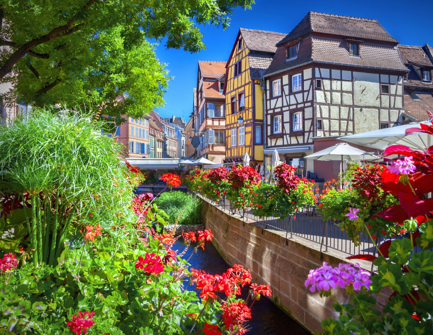 Gran Tour della Foresta Nera: Meraviglie dall'Alsazia alla Svizzera 10