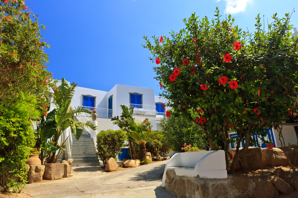 Tour delle Isole Eolie tra Mare, Natura e Relax 7