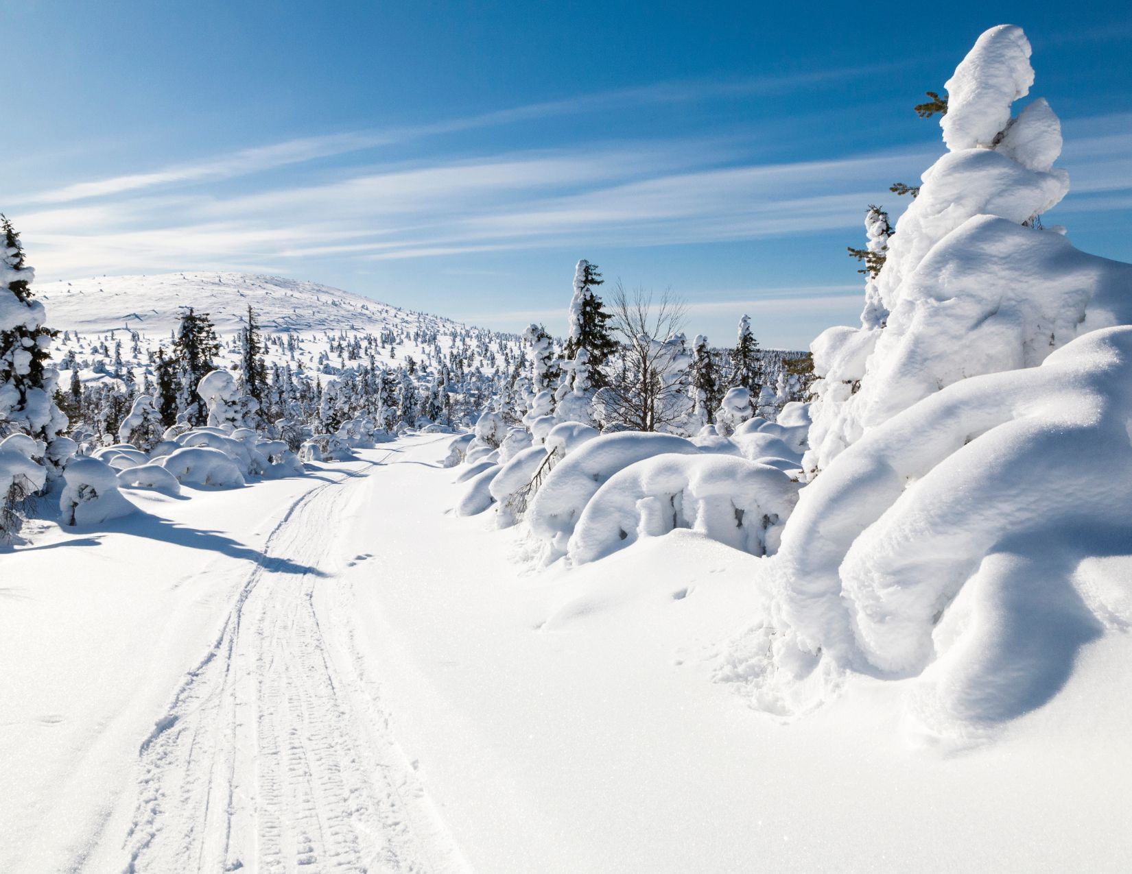 Saariselkä e il Cuore della Lapponia: Avventura oltre il Circolo Polare 6