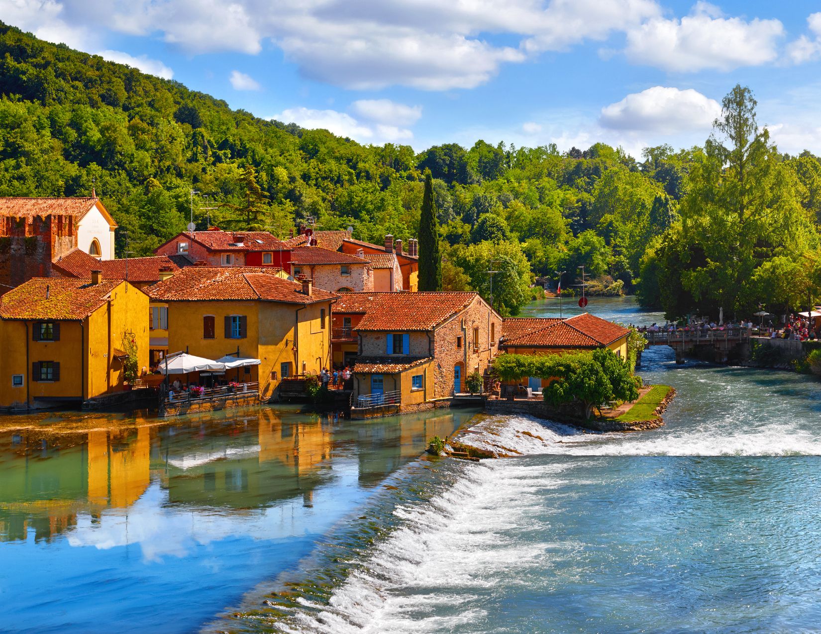 Luglio sorprendente: la fioritura del loto sul Mincio 12
