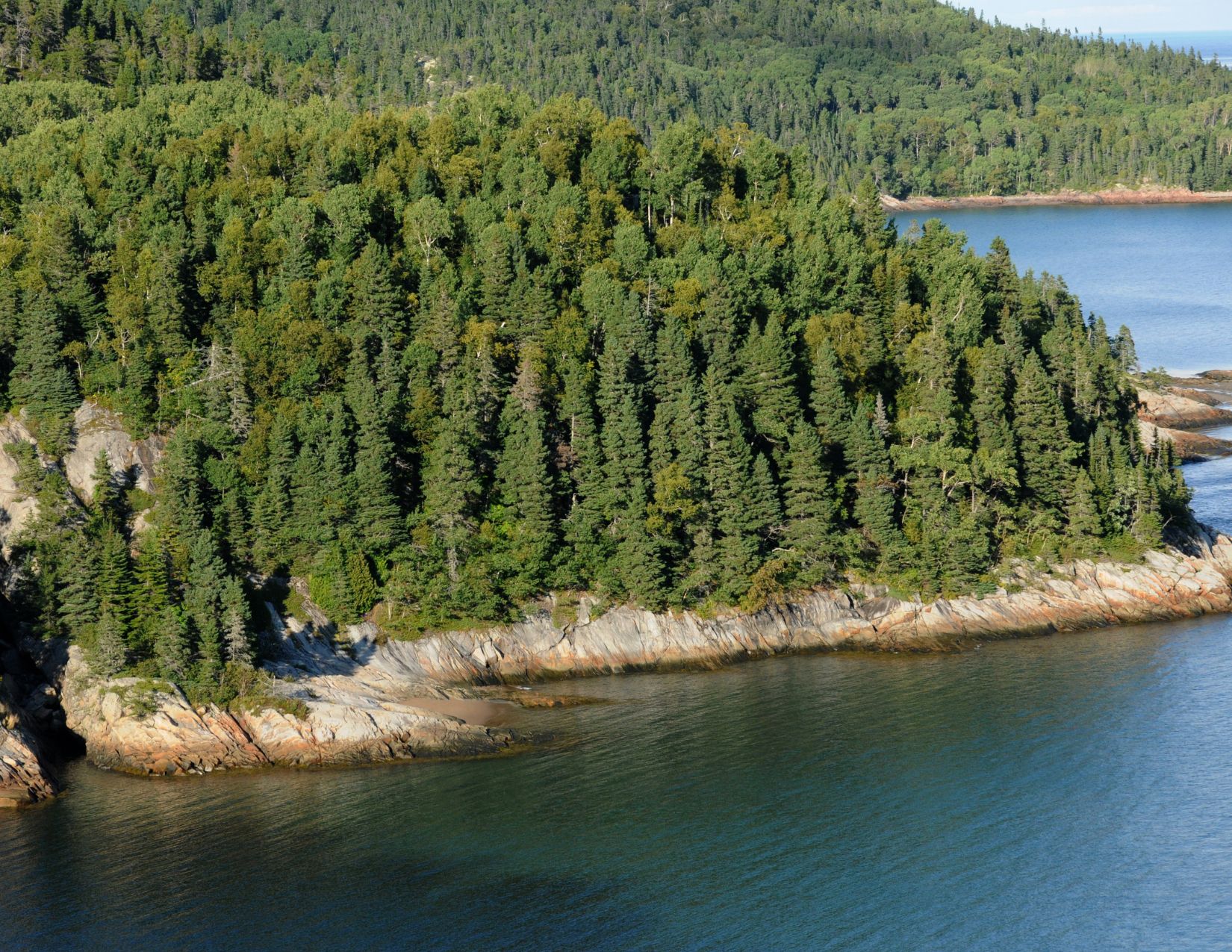 Canada tra Metropoli e Natura: l’Anima Selvaggia del Québec 15