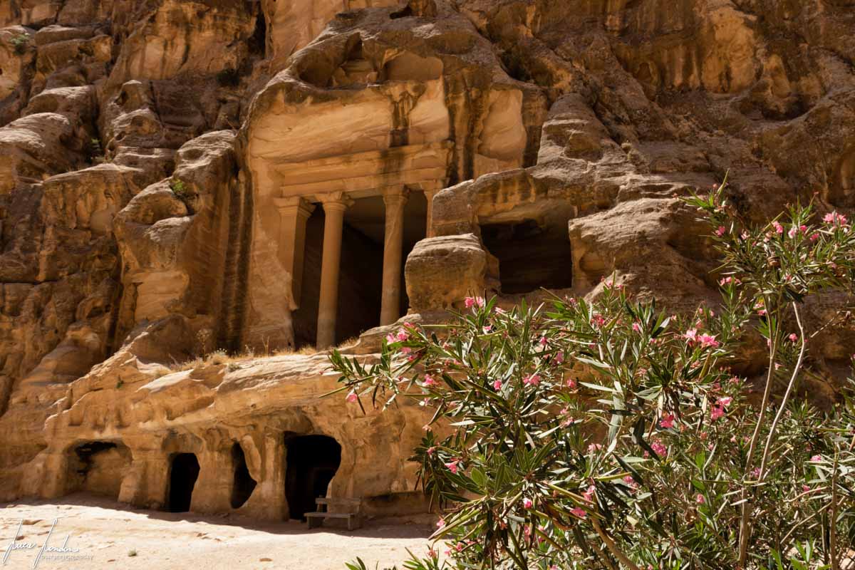 Tour della Giordania : Relax sul Mar Morto & Notte nel Deserto 14