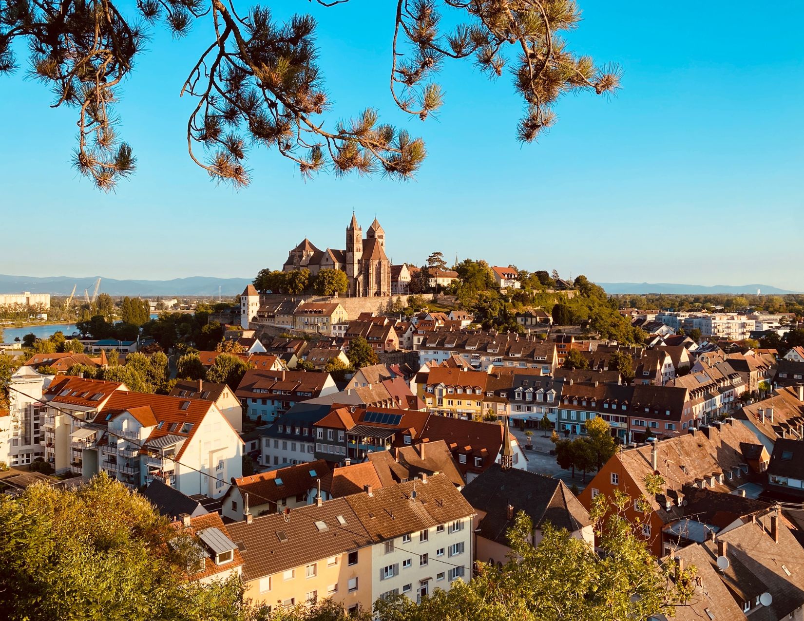 Gran Tour della Foresta Nera: Meraviglie dall'Alsazia alla Svizzera 4