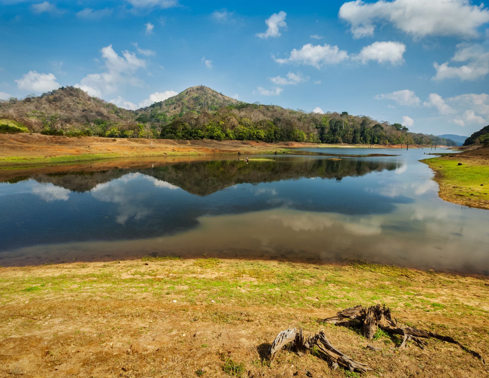 India del Sud e Kerala: tra Templi e Tradizioni 17