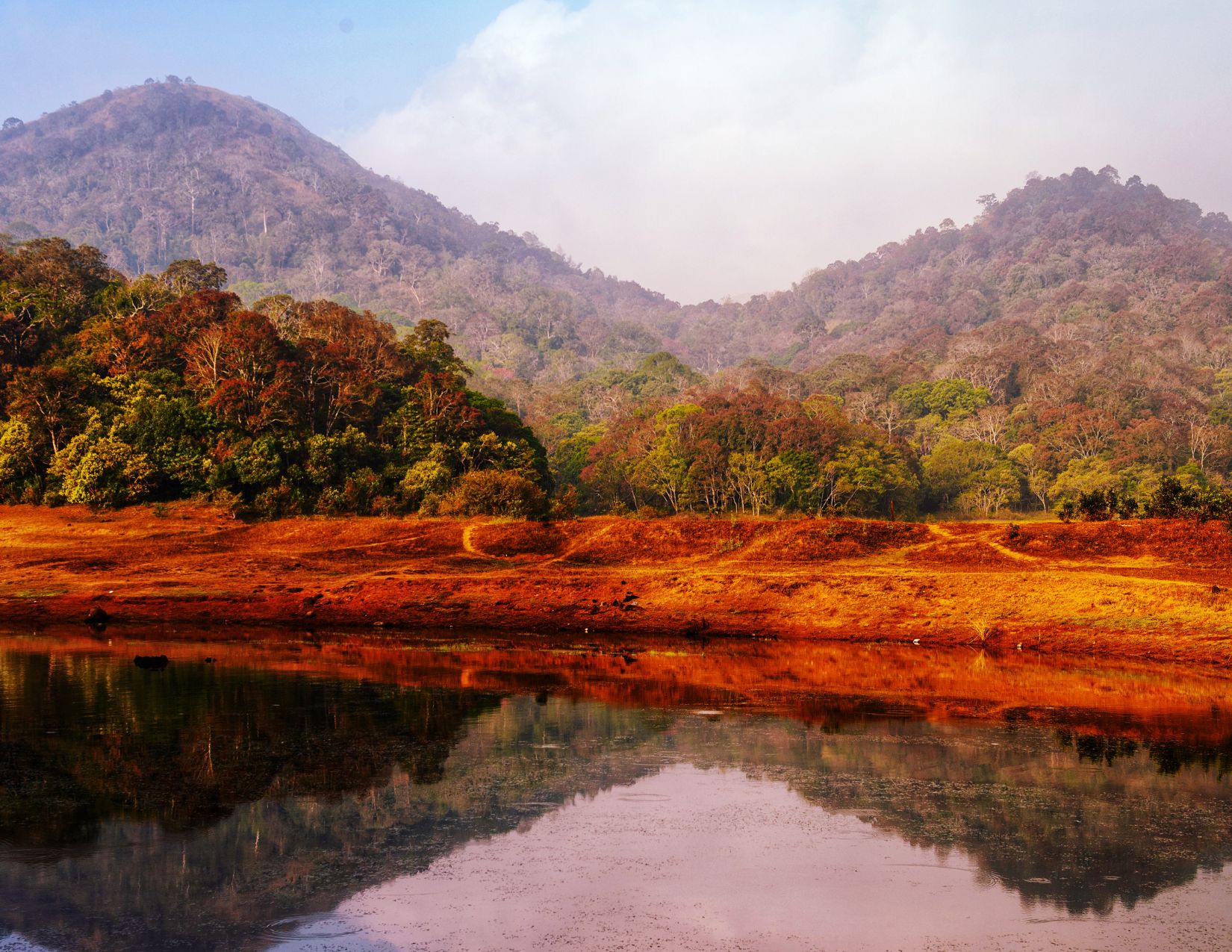 India del Sud e Kerala: tra Templi e Tradizioni 18