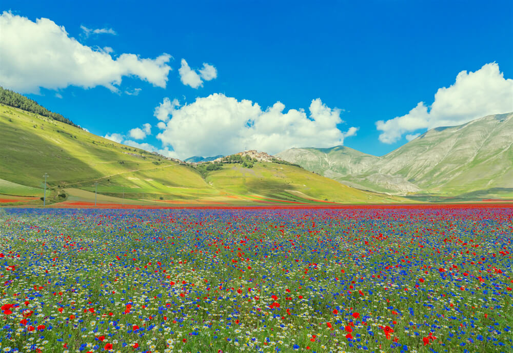 Weekend Verde sui Monti Sibillini: Esperienze autentiche, Tradizioni e la Fioritura di Castelluccio 19
