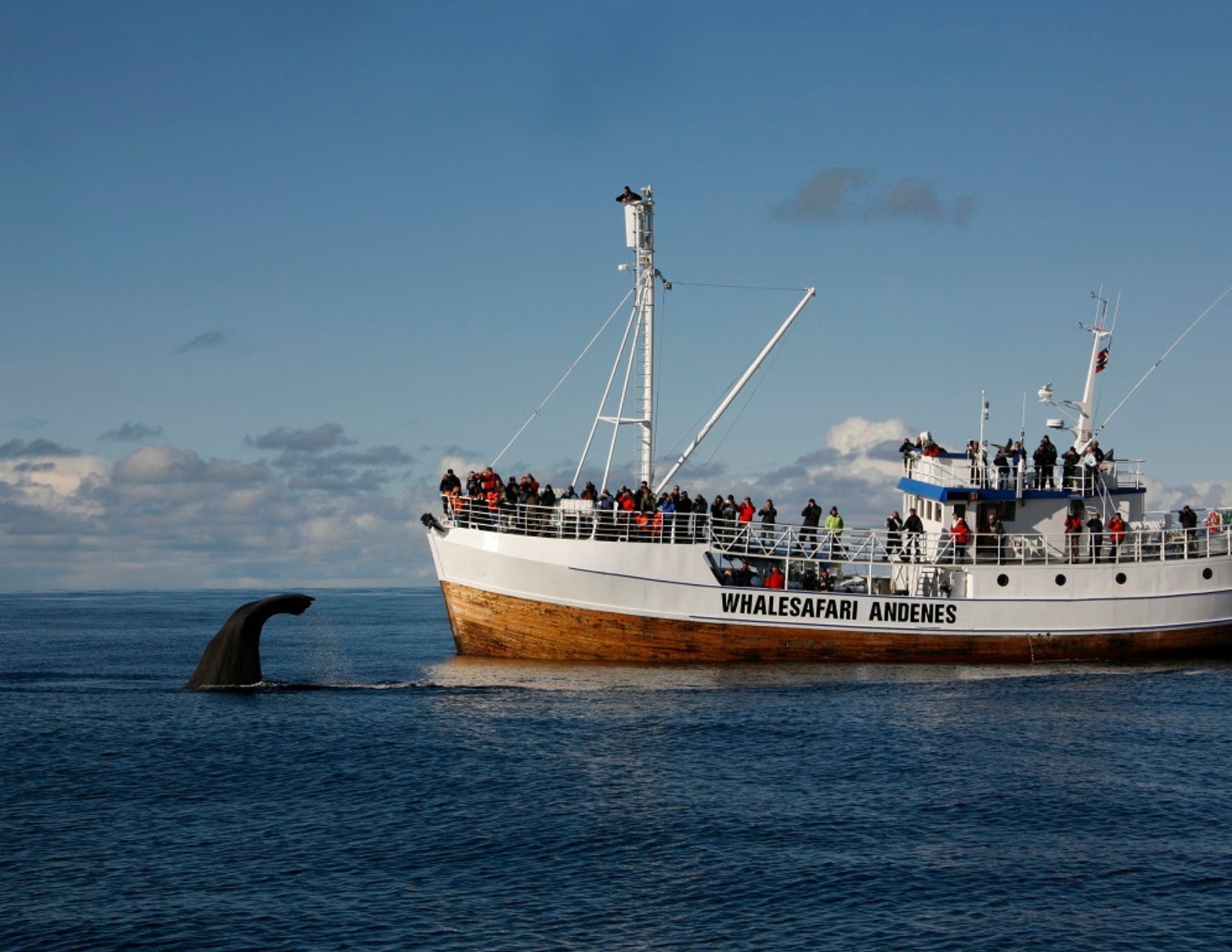 Gran Tour delle Lofoten : viaggio tra paesaggi da sogno e tradizioni norvegesi 16