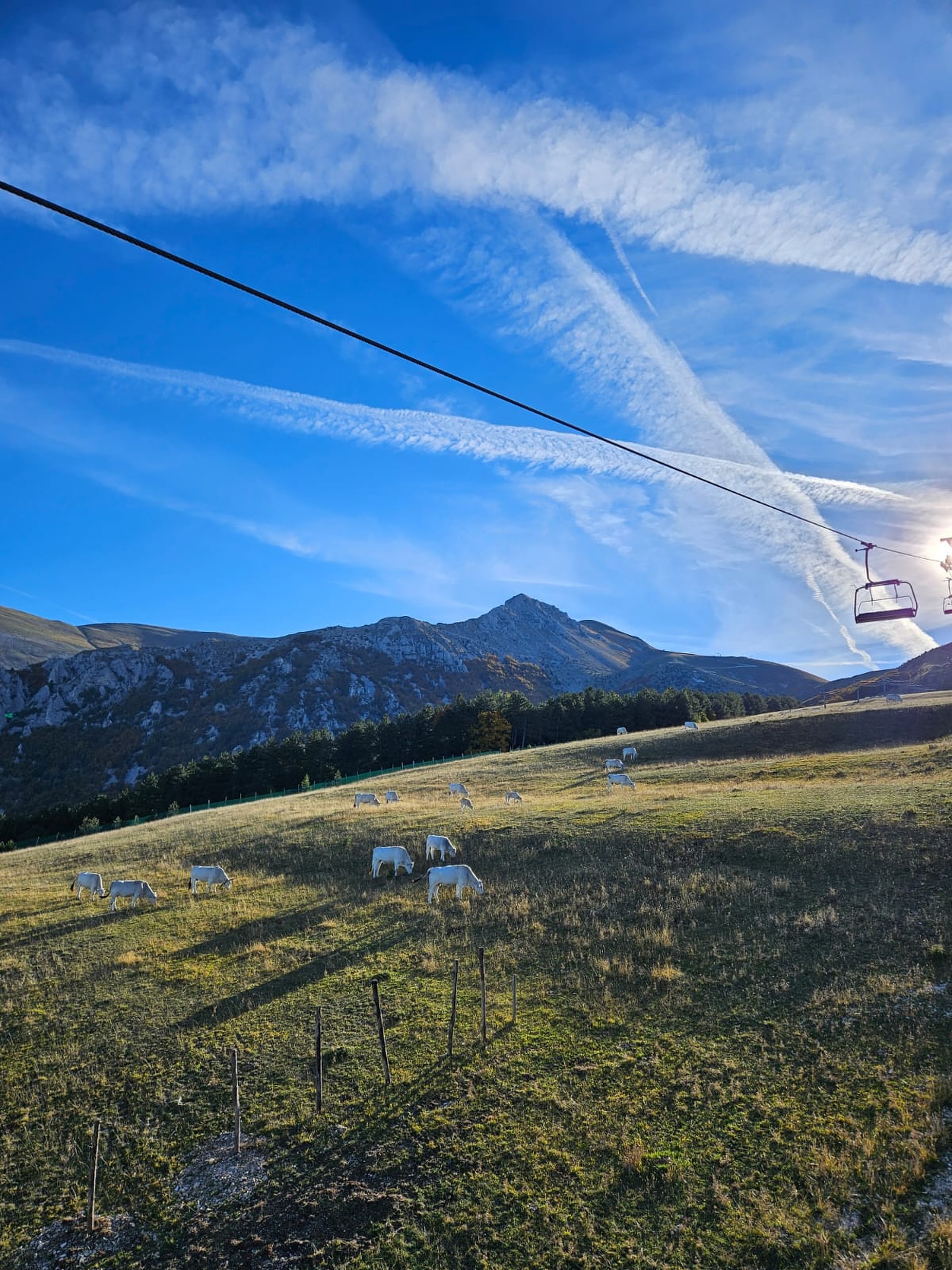Weekend Verde sui Monti Sibillini: Esperienze autentiche, Tradizioni e la Fioritura di Castelluccio 17