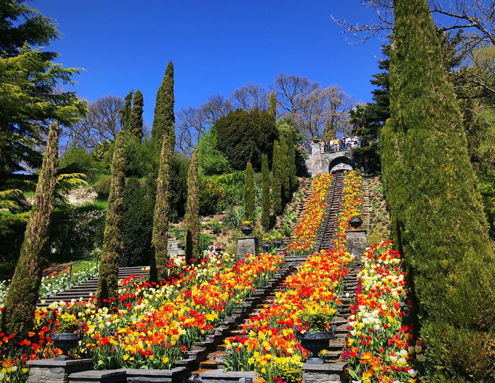 Gran Tour della Foresta Nera: Meraviglie dall'Alsazia alla Svizzera 18