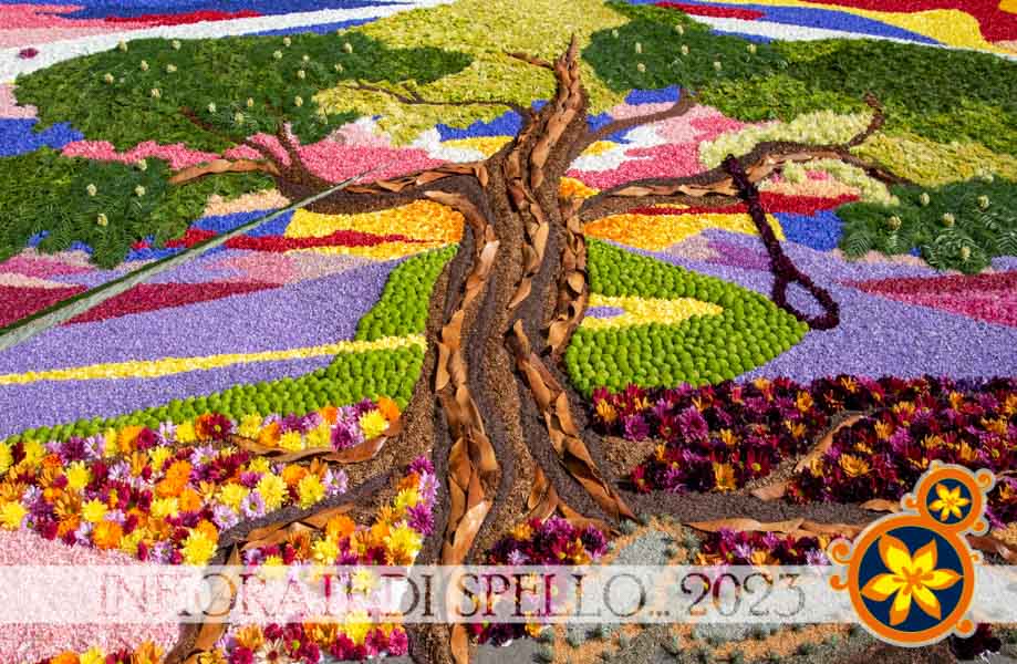 L'infiorata di Spello e i Canali di Rasiglia 9