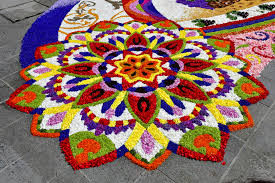 L'infiorata di Spello e i Canali di Rasiglia 6