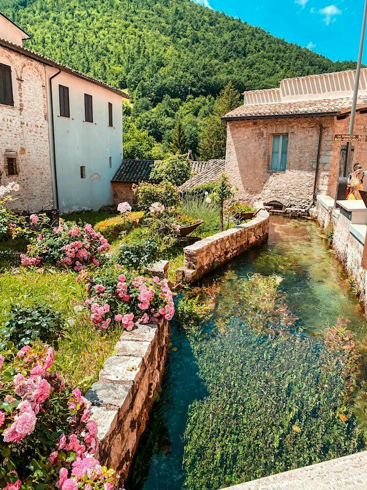 L'infiorata di Spello e i Canali di Rasiglia 10