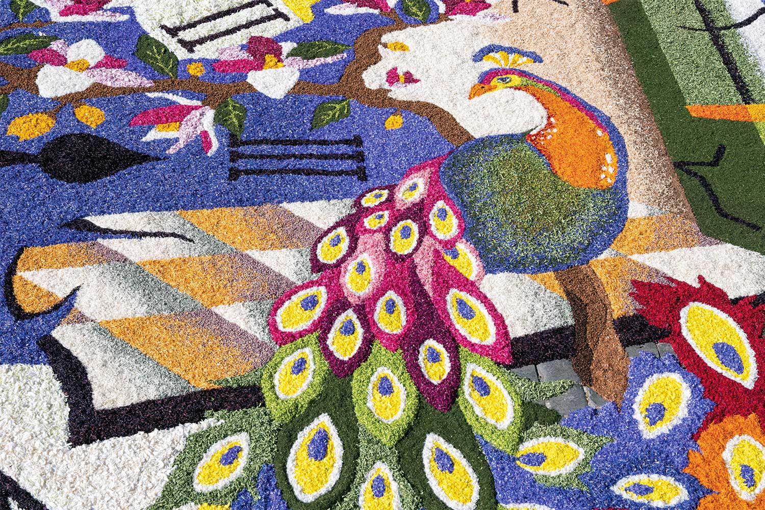 L'infiorata di Spello e i Canali di Rasiglia 5